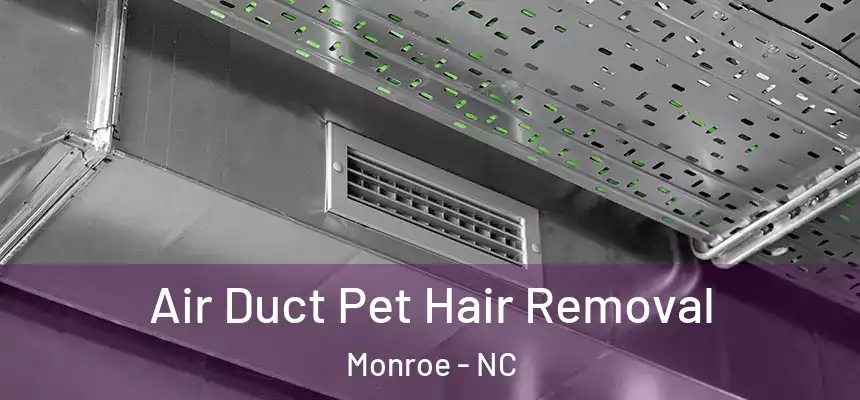 Air Duct Pet Hair Removal Monroe - NC