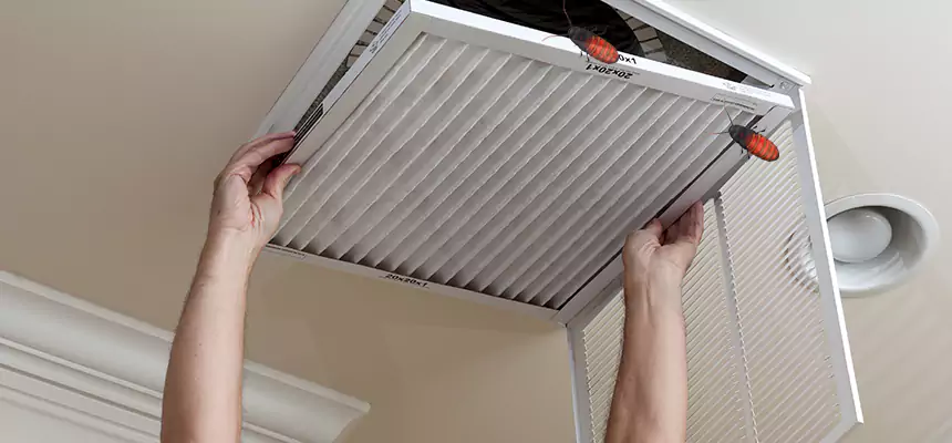 Our Insect Removal from Air Ducts Services in Monroe, NC
