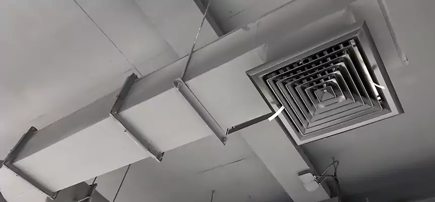 Our Pest Removal From Ducts Services in Monroe, NC