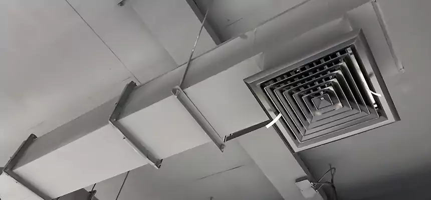 Our Rodent Droppings In Vents Services in Monroe, NC