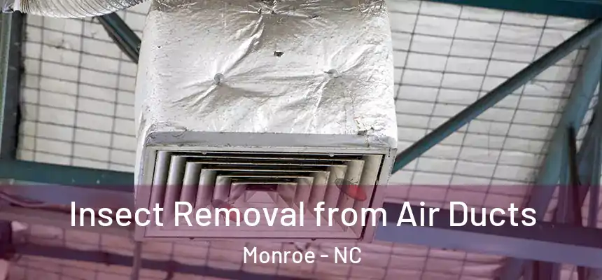 Insect Removal from Air Ducts Monroe - NC