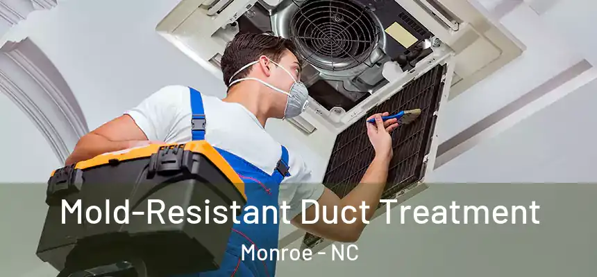 Mold-Resistant Duct Treatment Monroe - NC