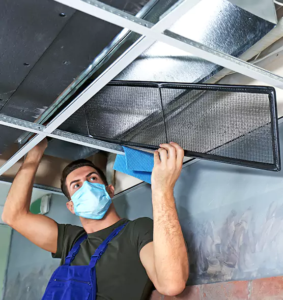 About Air Duct Bacteria Removal in Monroe