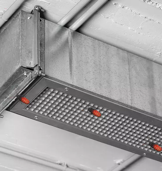 Affordable Insect Removal from Air Ducts in Monroe, NC
