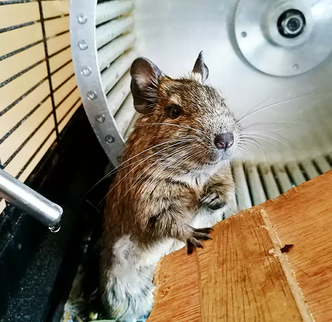 Why Homeowners & Businesses Trust Us Monroe, NC?