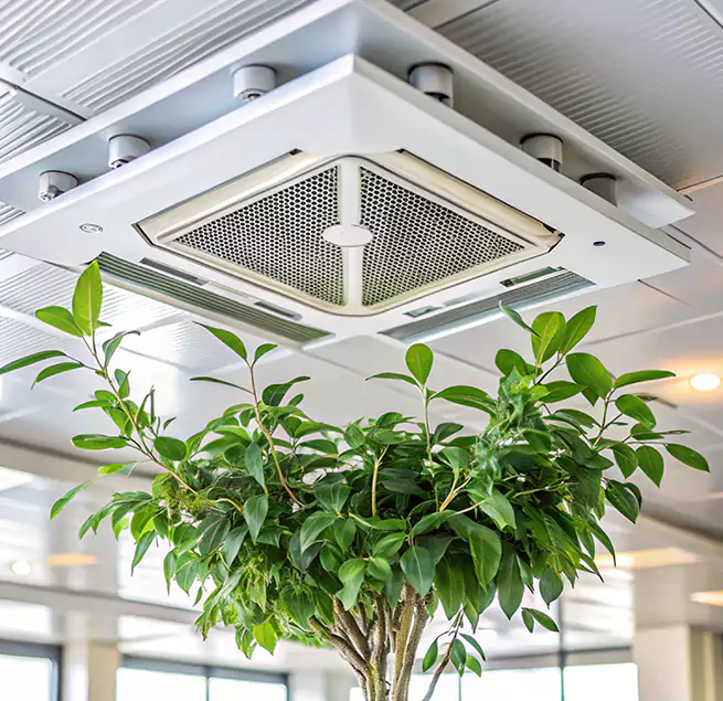 Why Homeowners & Businesses Trust Us in Monroe, NC?